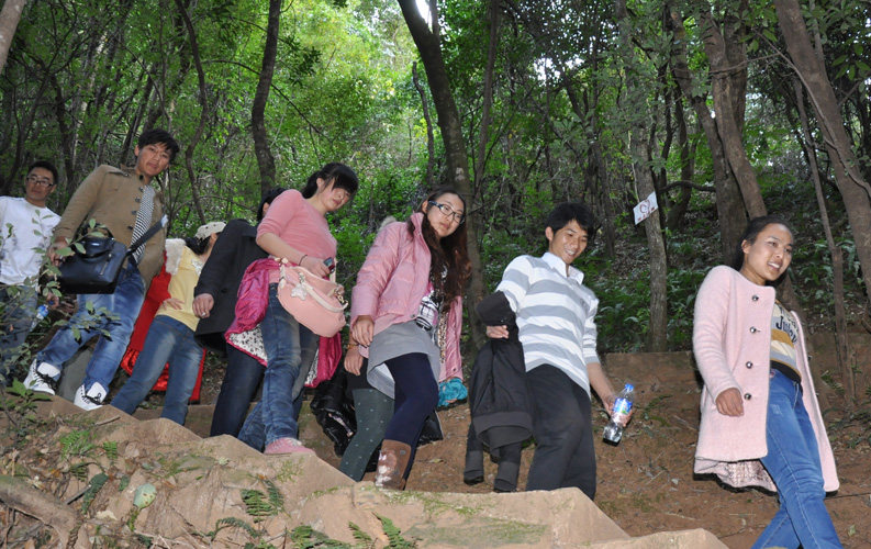 青龍峽位于昆明西郊安寧市青龍鎮(zhèn)滇中生態(tài)大峽谷中，景區(qū)有保存較為完好的植物群落，遮天蔽日的參天古木；有浪漫山花，野果飄香，還有清秀寧靜的田園風光。河谷沿岸古柳成蔭，幾十里的云南櫻花大道成為昆明郊游靚麗的風景線。景區(qū)中溪水潺潺，千姿百態(tài)、千奇百怪的蔓藤風光隨處可見，號稱“都市身旁的小九寨。